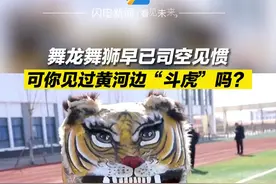 舞龙舞狮早已司空见惯 可你见过黄河边“斗虎”吗？图片
