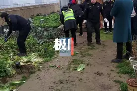 杜绝楼顶变成私家菜园子，路长民警物业齐出手图片