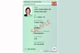 新加坡的LTVP后面多了一个+，是什么意思？图片