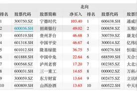 “超配”中国！中东投资者也来了图片