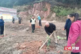 实干就是要脚上带泥，和老百姓干在一起图片