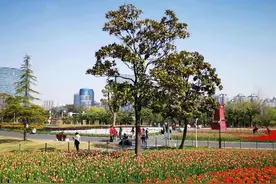 乘坐地铁即可直达沪上这些公园，这样出站最方便图片