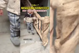 70岁爷爷为了两岁孙子自制扶梯图片