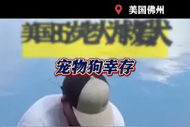 美国85岁老人为救爱犬和3米长鳄鱼搏斗被咬死图片