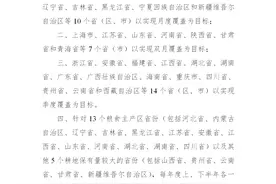 来了！2023年卫片执法工作任务+时间安排→图片