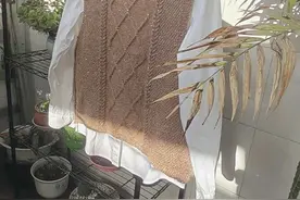 奶咖：样式新颖独特的女士百搭背心（有编织图解）图片