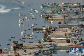 紧急通知！3月1日起，福建这里全面禁止！持续4个月！图片