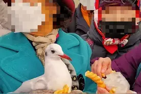 热门景区这一幕，让人上火！图片