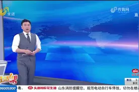 途观L变速箱异响 无故刹停 济宁车主要退车图片