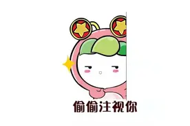 有一种行李箱叫“爸妈觉得还能塞……”图片