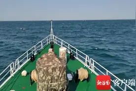 温馨一幕 海豚群在琼州海峡伴航海警舰艇图片