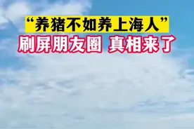 “养猪不如养上海人”冲上热搜！真相原来如此图片