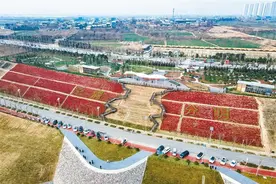 高陵区重点项目建设全面提速：构建五大产业板块 打造“北跨”战略支点图片