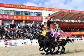 喜迎藏历新年 精彩“马”上到图片