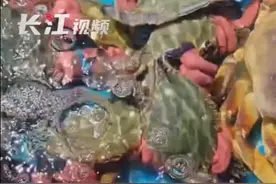 3斤梭子蟹1.2斤是捆绑绳，涉事产品已下架，商家：建议别买，不划算图片