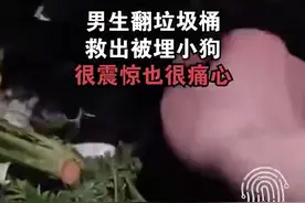 男生翻垃圾桶救出被遗弃小狗：很震惊也很痛心，可以不爱但没必要伤害图片
