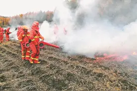 聚焦主责主业精准发力 提振奋发精神再谱新篇 龙江森工集团 绘就现代化新森工壮美蓝图图片