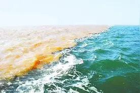 【文旅百科】“泾渭分明”形成的原因图片