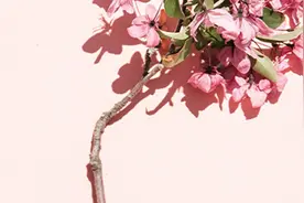 文末福利 | 那些年妈妈说过的话，渐渐地我终于懂了~图片