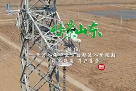 果然视频·好景山东|航拍！东营黄河入海口东方白鹳进入繁殖期图片