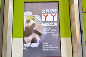 与纽约时代广场相呼应，这个浙江女孩为熊猫丫丫买了许多快递柜投屏图片