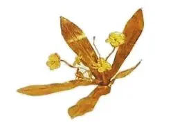 魏晋南北朝时期甘肃的礼俗文化图片