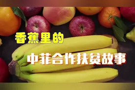 全球连线 | 香蕉里的中菲合作扶贫故事图片