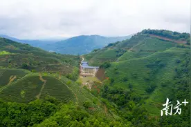 聚焦紫金公益慈善表彰大会③亮点工作巡礼之农业强县篇图片