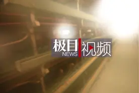 春节住进“温控别墅”，2万只鸡苗暖阳微风里生机勃发图片