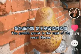 湖北农村包工头短视频里用伦敦腔飙英语火了，被人质疑“假洋鬼子”让他很苦恼图片