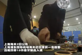 上海浦东机场一入境旅客携带18件象牙制品被查获图片