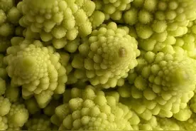 教你用iPhone 14系列拍摄美食 让朋友圈更有仪式感！图片