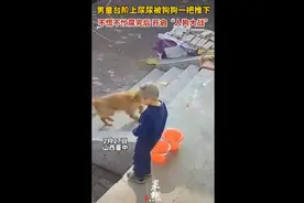 男童台阶上尿尿被狗狗一把推下，不慌不忙尿完后开启“人狗大战”图片