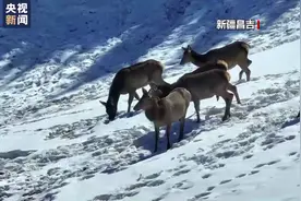 春天里的中国丨万物复苏气温回暖 生机勃勃春意盎然图片