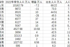 13省份2022年人口数据出炉：多省份人口自然增长率转负图片