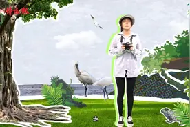 深临其境｜上山入水飞天！来深圳近距离偶遇TA图片