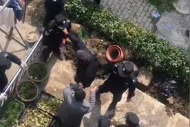 82岁老人自家院子种菜被全部清理？事实查清，多方回应视频封面