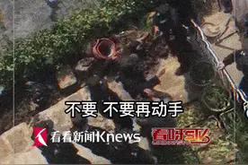 老人在院子里种菜被城管“一锅端”？真相是这样图片