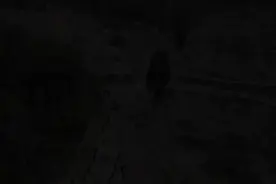 春日·与“李”有约丨三月踏“清”来乐清让李花开进朋友圈图片