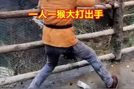 碰上硬茬了！男子不买账，与峨眉山猴子“互殴”图片