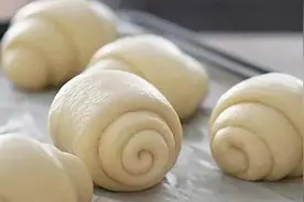 冷藏冷冻面团技术十问图片