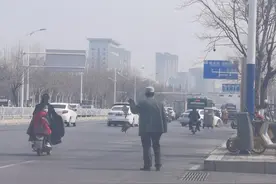 泰安有人卖“野生”鳖？假的！从五马市场批的，忽悠路人想赚差价图片