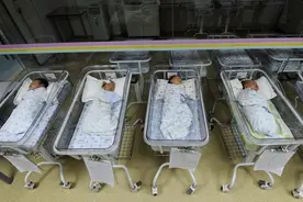 有条件放开“冻卵”、“试管婴儿”，政协委员为大龄未婚女性生育支招图片