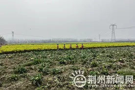 优服务保供电 荆州区这支女子服务队别样迎三八图片