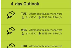 赤道穿羽绒服，错把泳池当车位，多棵大树被连根拔起……新加坡还将持续暴雨4天图片
