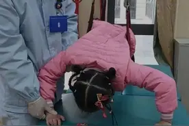 看泪了！7岁，高位截瘫，这样的“俯卧撑”她每天做200个……图片