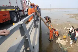 果然视频|赶海挖蛏子，涨潮后5人被困滩涂淤泥图片