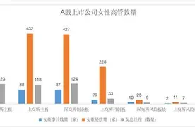 创业板“她力量”｜87名董事长人均薪酬超百万，这些女掌门人还曾是教师、记者、会计图片