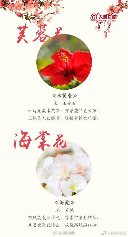 跟着18首古诗去赏花