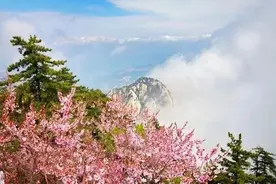 免票！免票！免票！渭南这些景区免费了图片